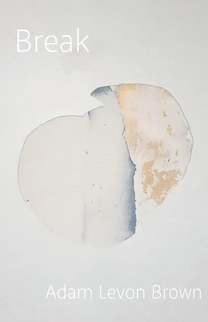 Break: poems on mental illness - Paperback