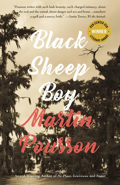Black Sheep Boy: A Novel in Stories - Paperback