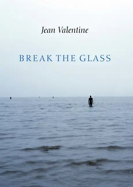 Break the Glass - Paperback