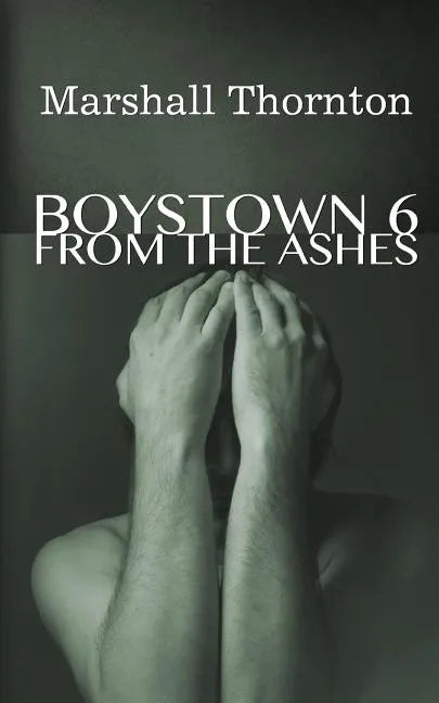 Boystown 6: From The Ashes - Paperback