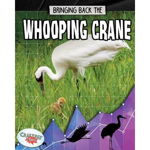 Bringing Back the Whooping Crane - Library Binding
