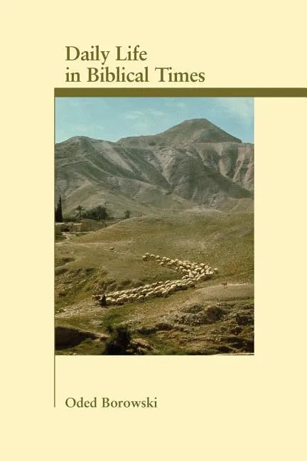 Daily Life in Biblical Times - Paperback