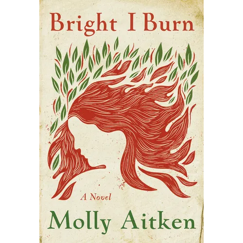 Bright I Burn - Hardcover