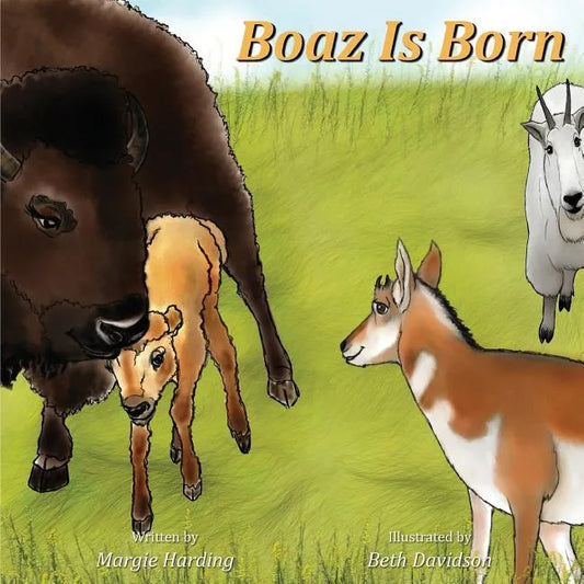 Boaz Is Born - Paperback