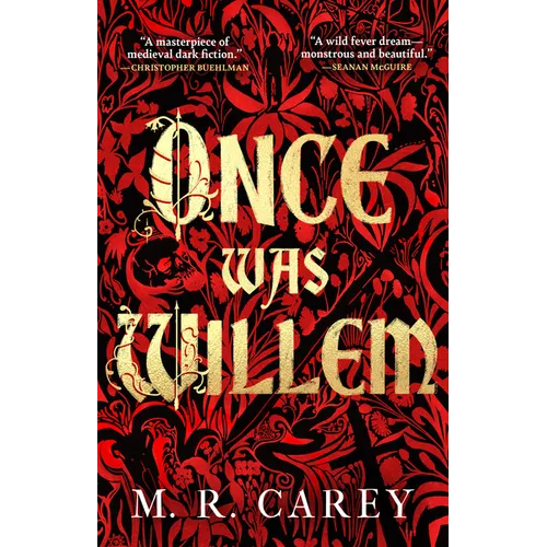 Once Was Willem - Paperback