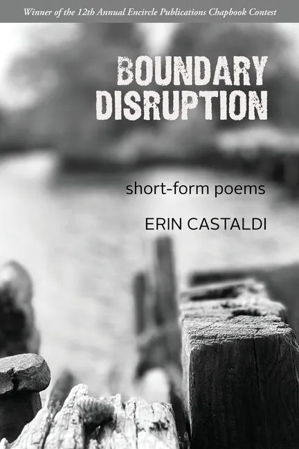 Boundary Disruption - Paperback