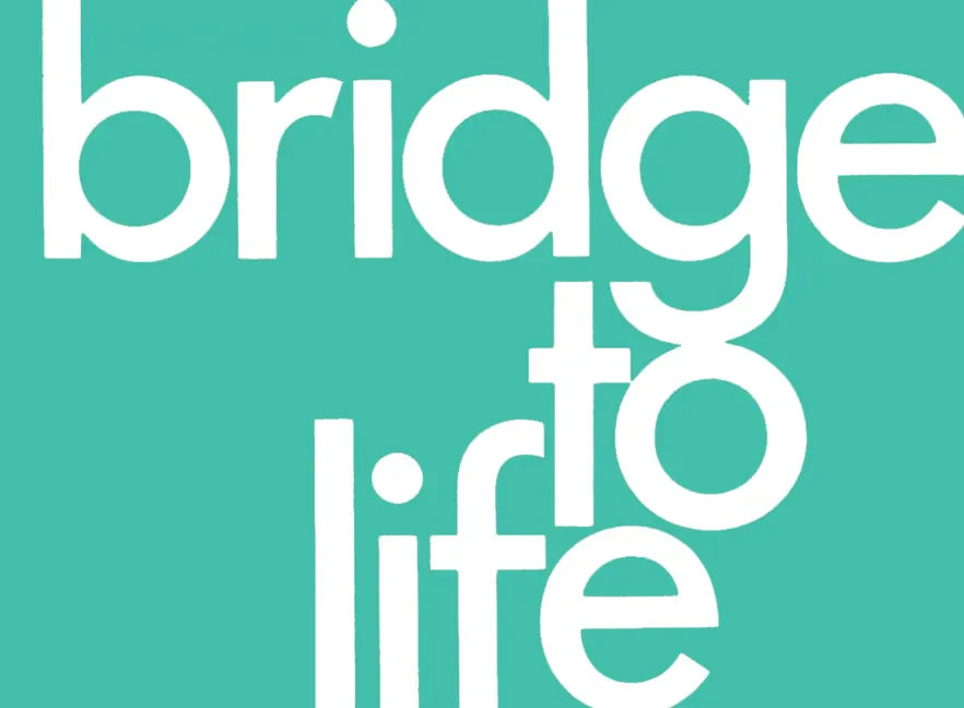 Bridge to Life (Green) 25-Pack - Paperback
