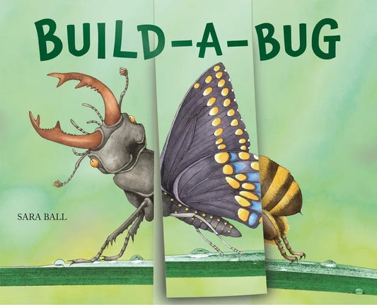 Build-A-Bug: Make Your Own Wacky Insect! - Board Book