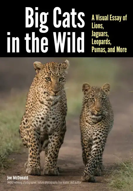 Big Cats in the Wild: A Visual Essay of Lions, Jaguars, Leopards, Pumas, and More - Paperback