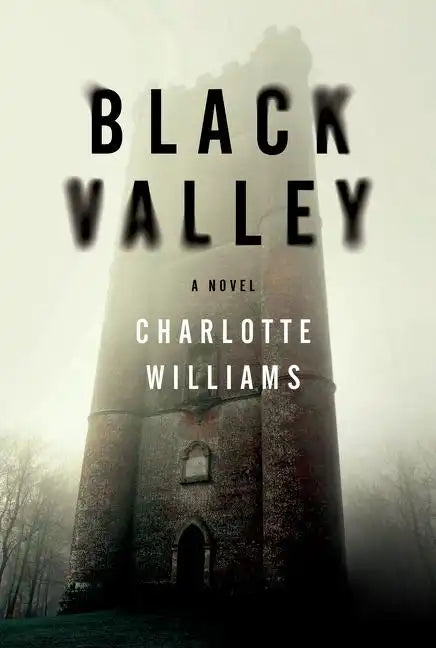 Black Valley - Paperback