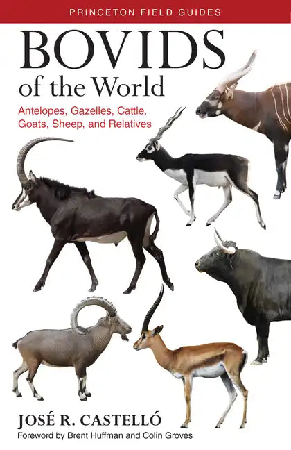 Bovids of the World: Antelopes, Gazelles, Cattle, Goats, Sheep, and Relatives - Paperback