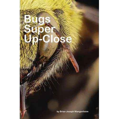 Bugs Super Up-Close: Macro Views of Bugs! - Paperback
