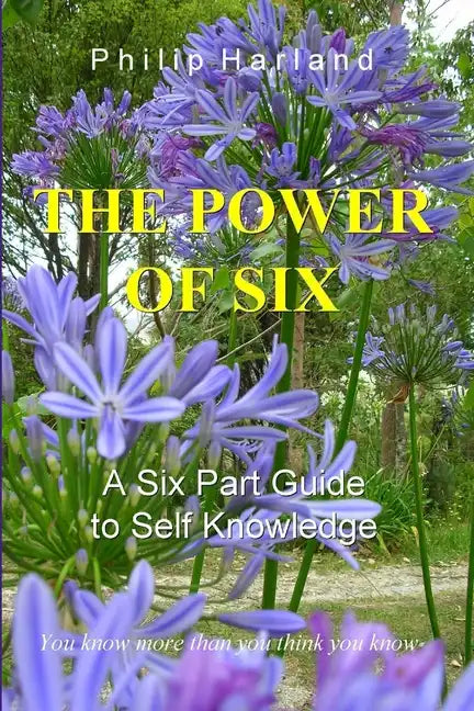 THE POWER OF SIX A Six Part Guide to Self Knowledge - Paperback