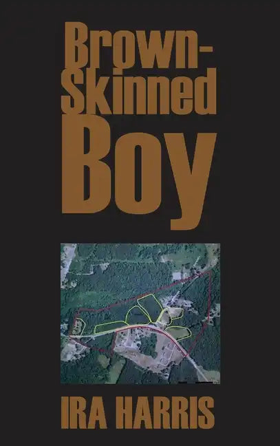 Brown-Skinned Boy - Hardcover