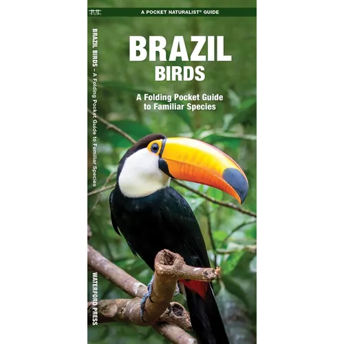 Brazil Birds: A Folding Pocket Guide to Familiar Species - Paperback