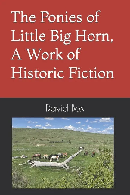 The Ponies of Little Big Horn, A Work of Historic Fiction - Paperback