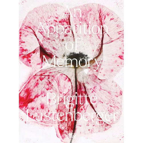 Brigitte Lustenberger: An Apparition of Memory - Paperback