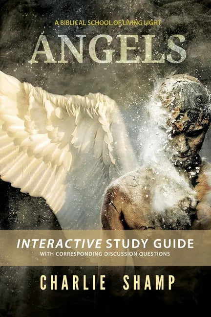 Angels Workbook: A Biblical School of Living Light - Paperback