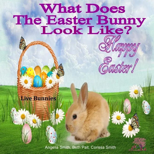 What Does The Easter Bunny Look Like? - Paperback