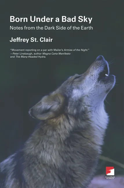 Born Under a Bad Sky: Notes from the Dark Side of the Earth - Paperback