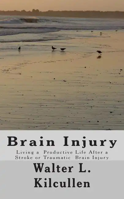 Brain Injury: Living a Productive Life After a Stroke or Traumatic Brain Injury - Paperback