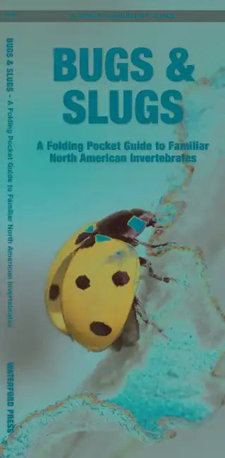 Bugs & Slugs: A Folding Pocket Guide to Familiar North American Invertebrates