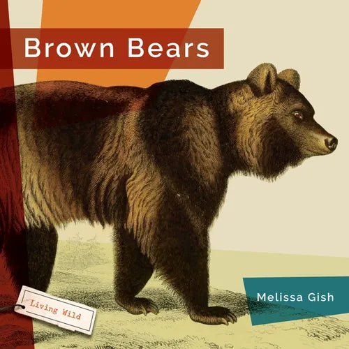 Brown Bears - Paperback