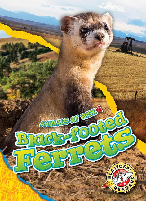 Black-Footed Ferrets - Library Binding