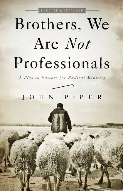 Brothers, We Are Not Professionals: A Plea to Pastors for Radical Ministry - Paperback