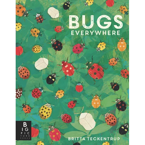 Bugs Everywhere - Paperback