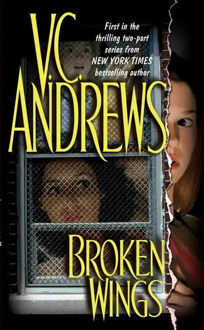 Broken Wings - Paperback