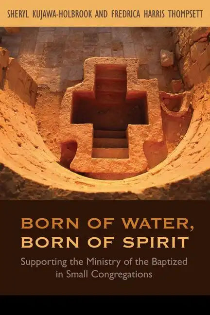 Born of Water, Born of Spirit: Supporting the Ministry of the Baptized in Small Congregations - Paperback