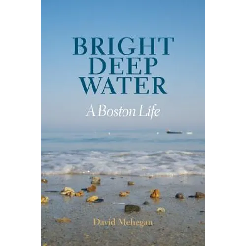Bright Deep Water: A Boston Life - Paperback