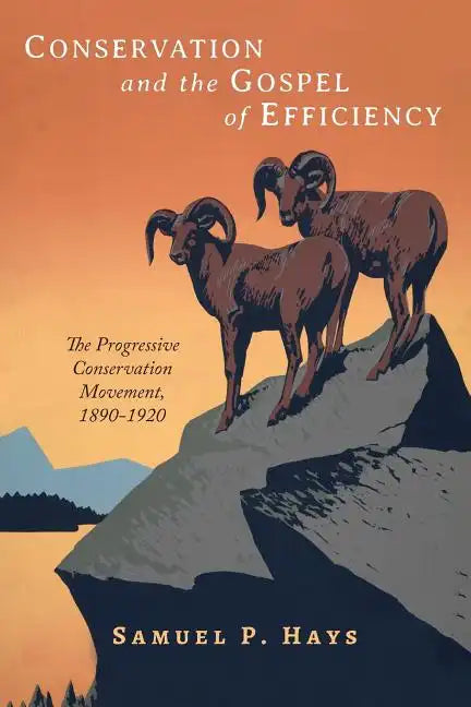 Conservation and the Gospel of Efficiency: The Progressive Conservation Movement, 1890-1920 - Paperback