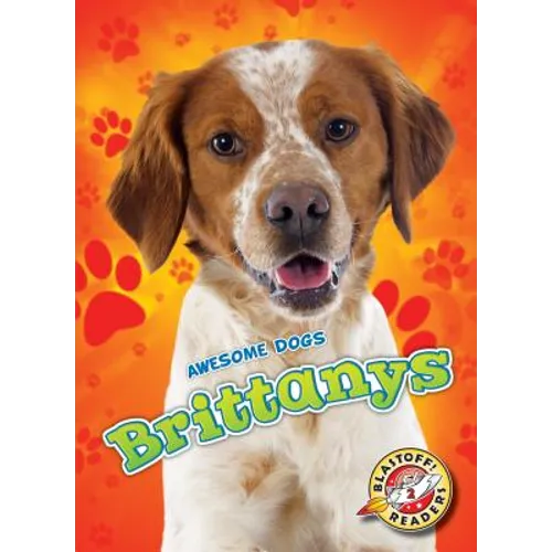 Brittanys - Library Binding