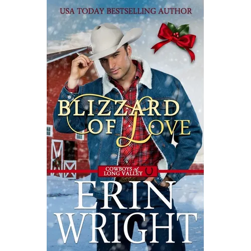 Blizzard of Love: A Christmas Holiday Western Romance - Paperback
