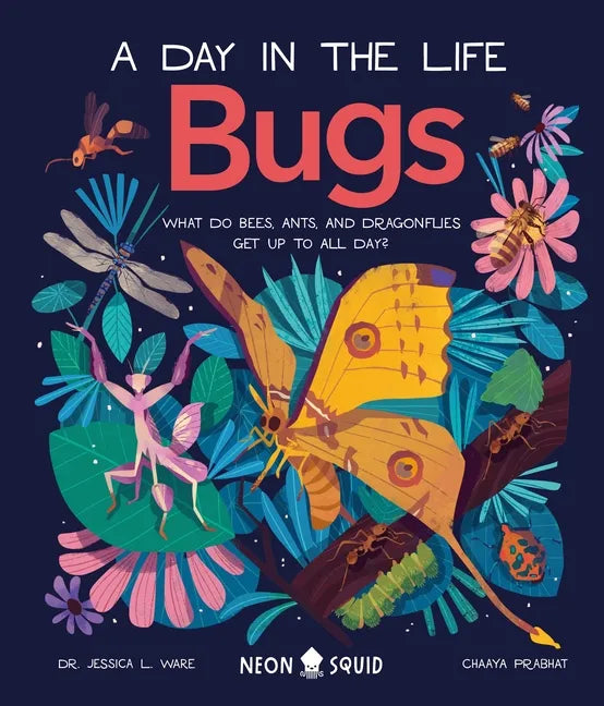 Bugs (a Day in the Life): What Do Bees, Ants, and Dragonflies Get Up to All Day? - Hardcover