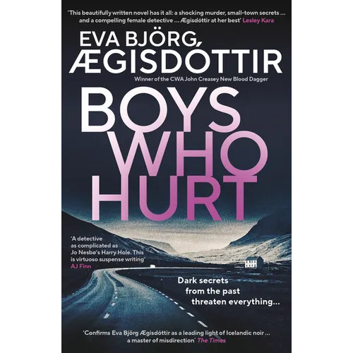 Boys Who Hurt: Volume 5 - Paperback
