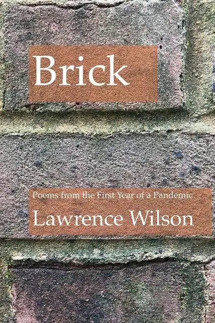 Brick: Poems from the First Year of a Pandemic - Paperback