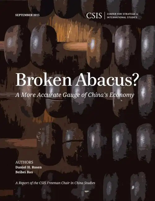 Broken Abacus?: A More Accurate Gauge of China's Economy - Paperback