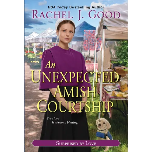 An Unexpected Amish Courtship - Paperback