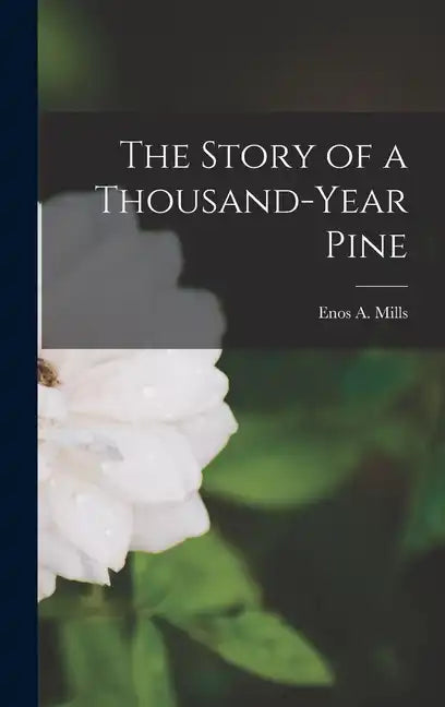 The Story of a Thousand-Year Pine - Hardcover