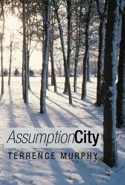 Assumption City - Hardcover