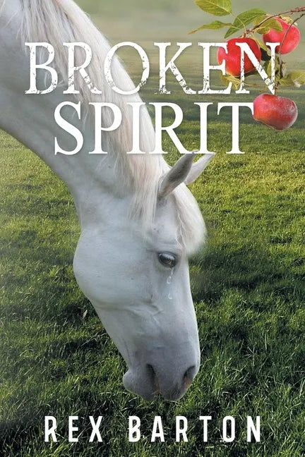 Broken Spirit - Paperback