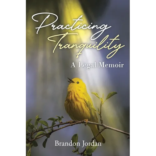 Practicing Tranquility: A Legal Memoir - Paperback