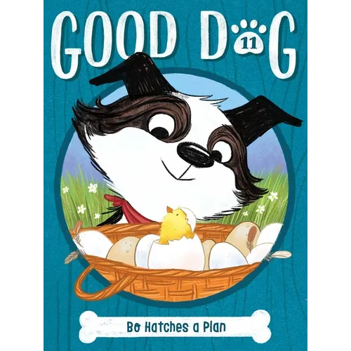 Bo Hatches a Plan - Hardcover