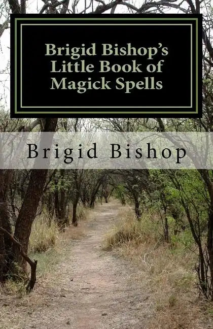 Brigid Bishop's Little Book of Magick Spells: 21st Century Magick - Paperback