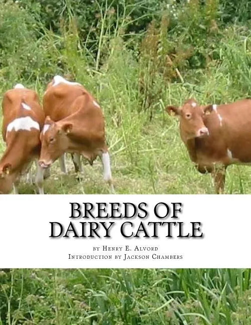 Breeds of Dairy Cattle - Paperback