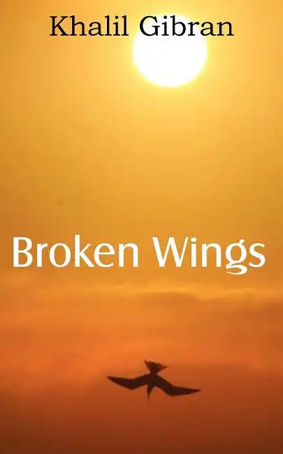 Broken Wings - Paperback