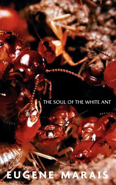 The Soul of the White Ant - Paperback